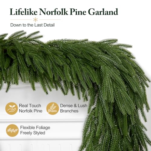 Worthyeah 2 Pcs 9 Ft Real Touch Norfolk Pine Garland for Mantel, Indoor/Outdoor Christmas