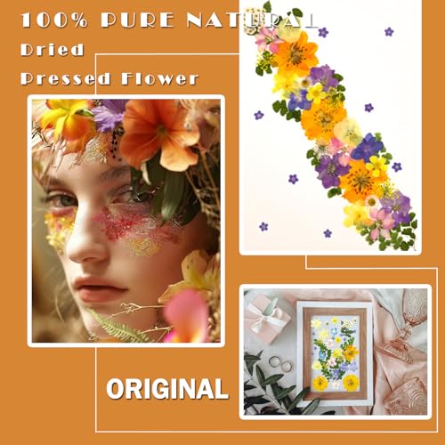 34Pcs Real Pressed Dried Flowers and Leaves for Resin Art and DIY Crafts