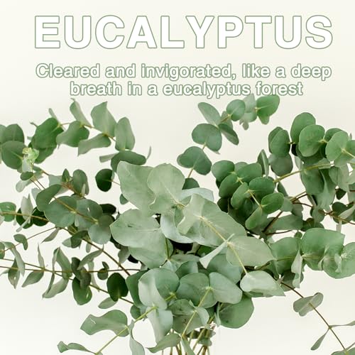 15-Pack Eucalyptus Scented Sachets for Closets, Drawers, and Cars