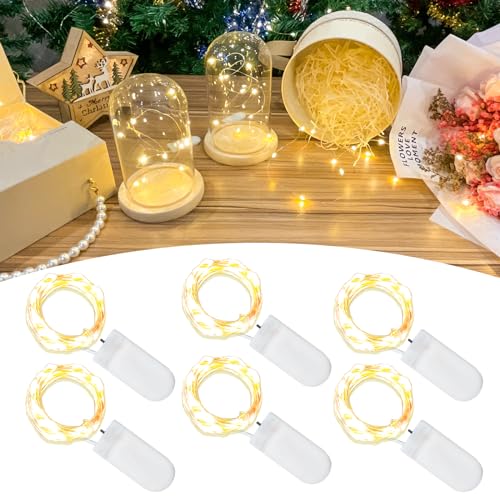 6 Pack Warm White Fairy Lights, 3.3ft Each - 10 LEDs, High Brightness (Etinga)