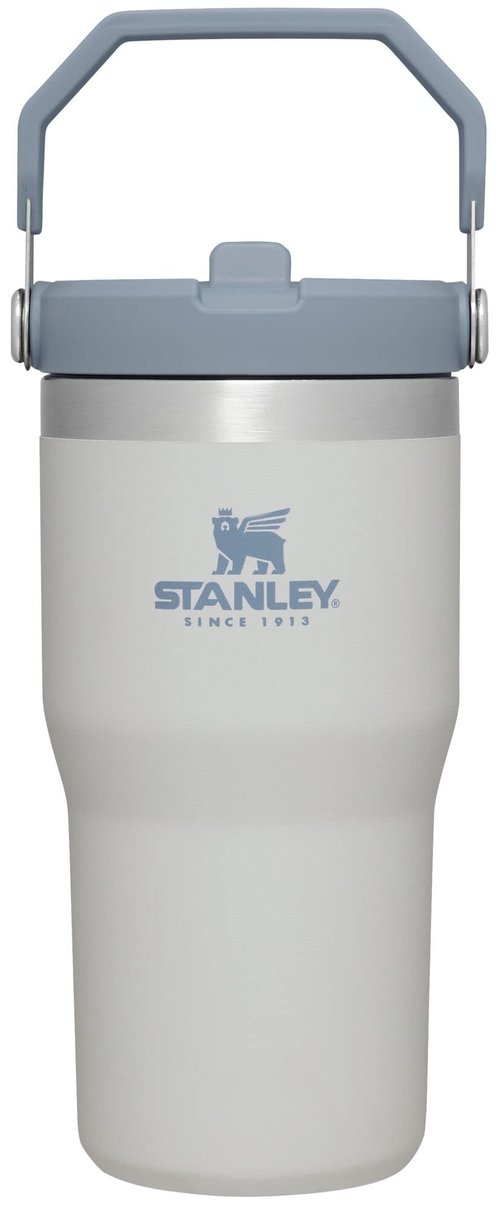 Stanley IceFlow Flip Straw Tumbler with Handle 20 oz | Twist On Lid and Flip Up Straw | Leak Resistant Water Bottle | Insulated Stainless Steel |BPA-Free | Fog