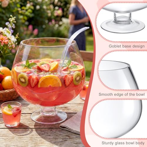 2 Gallon Clear Glass Punch Bowl Set with Ladle, Elegant Stemmed Design