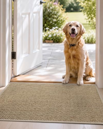 DEXI Beige Indoor Door Mat 24x36 Non-Slip Entrance Rug Moisture Absorbent