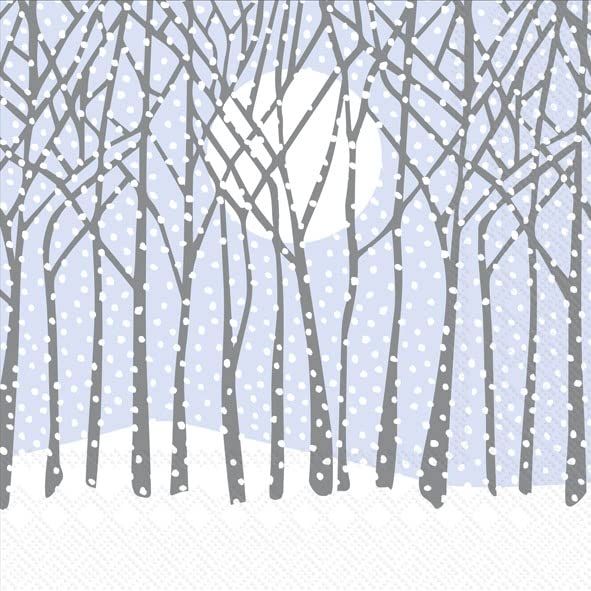 Winter Solstice Cocktail Napkins - 3-Ply Disposable Party Paper, 20-Count