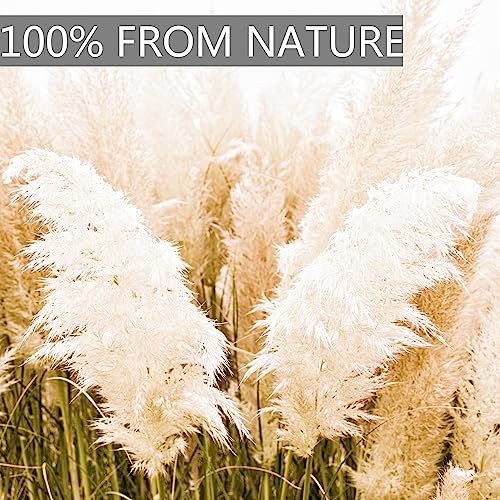 40-Inch Tall Pampas Grass Stems, Set of 10 Dried Floral Decor for Floor Vases