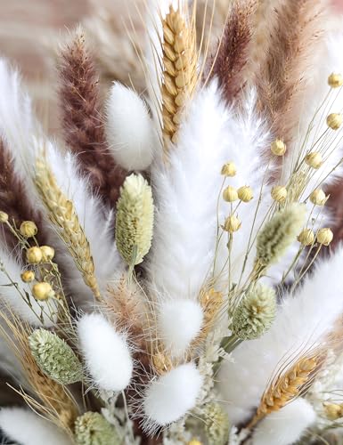 126pcs Dried Pampas Grass Bouquet - Fluffy Boho Floral Decor for Home