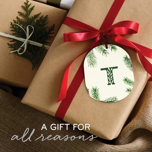 Thymes Frasier Fir Reed Diffuser Set, Green Glass Bottle, 4 fl oz – Pine Needle Fragrance