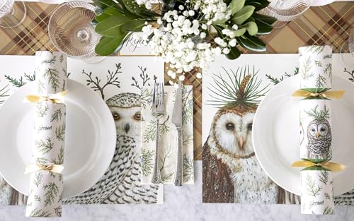 Kitchen Paper Placemat Set with Winter Owls Design - 18 Pack
