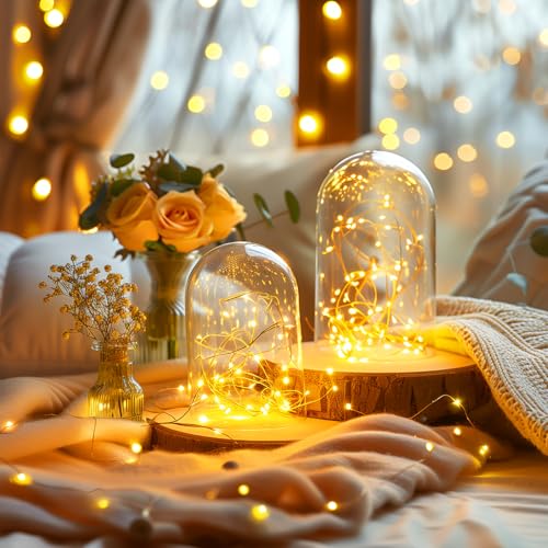Minetom 33Ft 100 LED Fairy Lights Waterproof Silver Wire String Lights