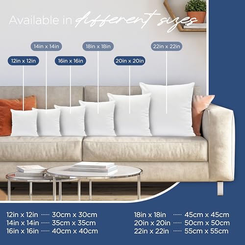 22x22 Decorative Throw Pillow Inserts, Plush Polyester Fill, 2-Pack