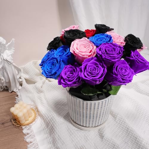Preserved Rose Gift Set (5 Roses) for Mom Grandma - Eternal Real Rose, 30-32 cm stems