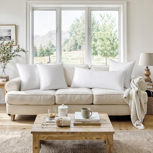 20x20 Inch Throw Pillow Inserts - Set of 2 Cotton Decorative Couch Pillows