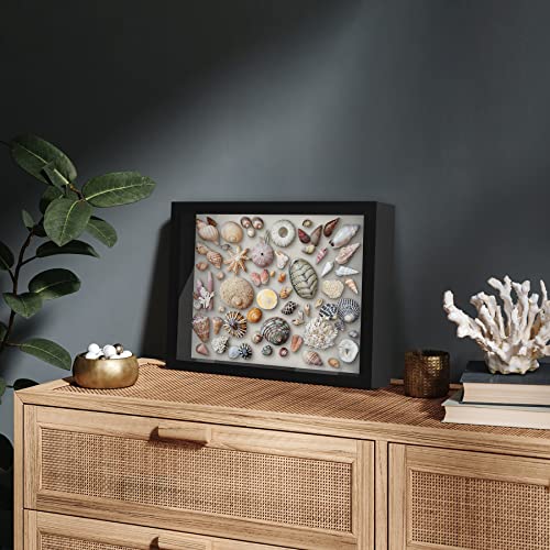 11x14 Shadow Box Frame Display Case - Black Wood Frame with Felt Back