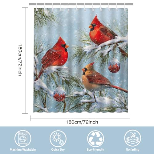 Christmas Red Bird Shower Curtain - Winter Robin & Cardinal Bathroom Decor, 72x72 Inches with Hooks