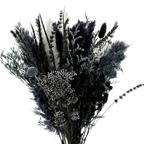 17-Inch Natural Dried Pampas Grass Bouquet - Black & Grey Boho Floral Decor