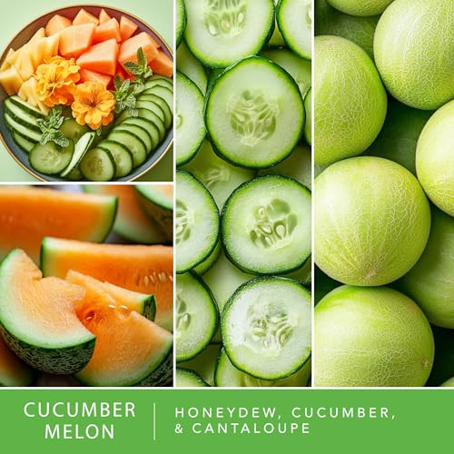 Cucumber Melon Wax Melts - 24 Long-Lasting Scented Wax Cubes, 10oz