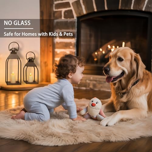 ZLFart Set of 2 Decorative Metal Lanterns 15.7