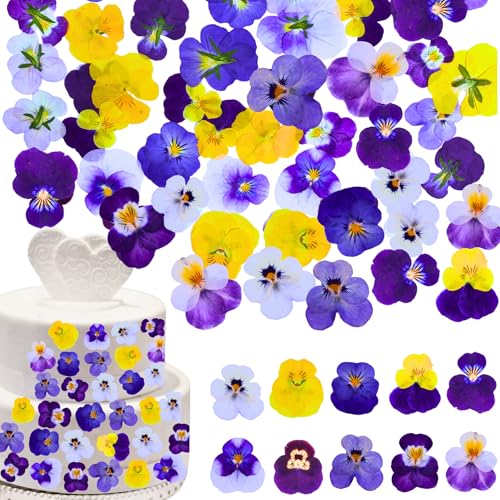 60 Pcs Natural Pressed Dried Viola Flowers for Resin Jewelry and Crafts