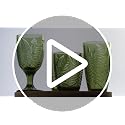 Green Glass Drinking Set of 4 16 oz Vintage Fern Glassware - Dishwasher Safe