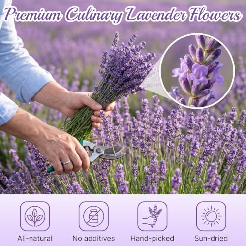 Rylenor 60+ Stems Edible Lavender Sprigs 1.1oz for Cocktails & Dessert Decor