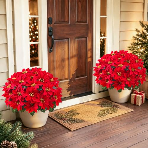 Martine Mall Red Potted Poinsettias (2-pack), UV-Resistant Outdoor Christmas Flowers