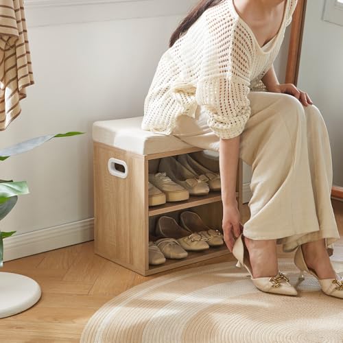 Small Shoe Storage Bench with Padded Cushion, 2-Tier Entryway Shoe Rack