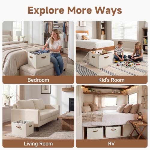 Foldable Shoe Storage Organizer 2-Pack, Adjustable Dividers & Clear Lid