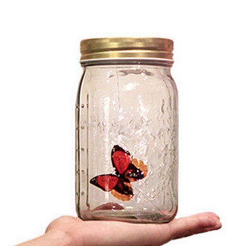Butterfly in a Glass Jar, Hsxxf LED Lamp Jar Animated Butterfly in A Jar Tap to Activate Gift Decoration (Red)