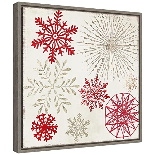 Sylvie Graywash Framed Canvas Wall Art Christmas Snowflakes II by PI Studio 16x16