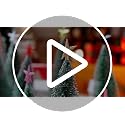 Hanaive Gold Mini Christmas Tree Topper Star 1.77 Inch Plated Holiday Decor