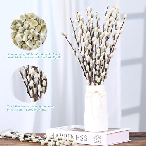 15 Stems Preserved Pussy Willow Branches, 17-Inch Natural Dried Flowers