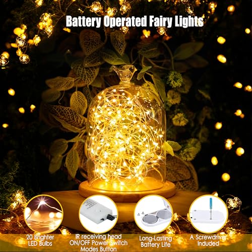 OakHaomie 6-Pack Battery Operated Fairy Lights, 6.5ft Warm White Twinkle Firefly Lights with Remote Control and Timer for Wedding, Party, and Home Decor