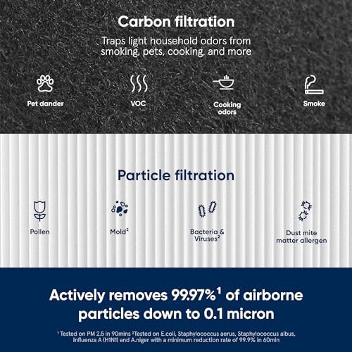 Particle and Activated Carbon Air Purifier Replacement Filter