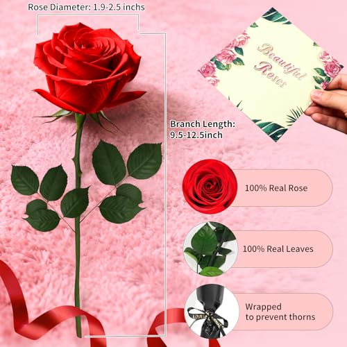 Single Preserved Red Rose in Luxury Gift Box - Real Forever Rose