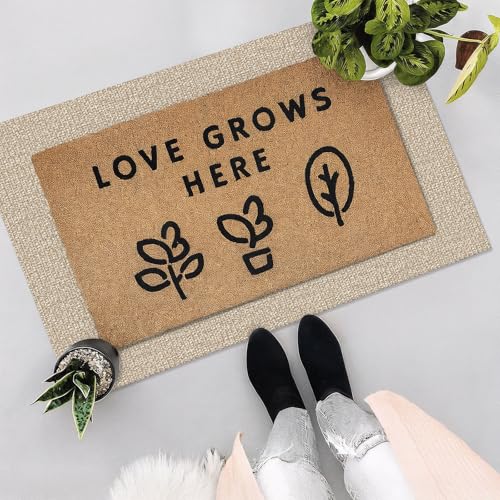 Washable 2x3 Ft Entryway Rug, Non-Slip Indoor Doormat, Sand Beige