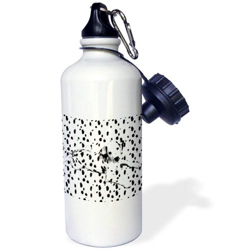 3dRose "Dalmatian, Spots On Spots" Sports Water Bottle, 21 oz, White