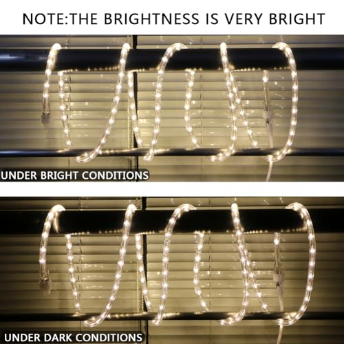 10ft LED Rope Lights, Connectable Waterproof Tube Lighting for Indoor & Outdoor