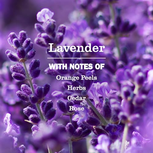 Mrs. Meyer's Multi-Surface Everyday Cleaner, Lavender, 16 Fl Oz, 3 Pack