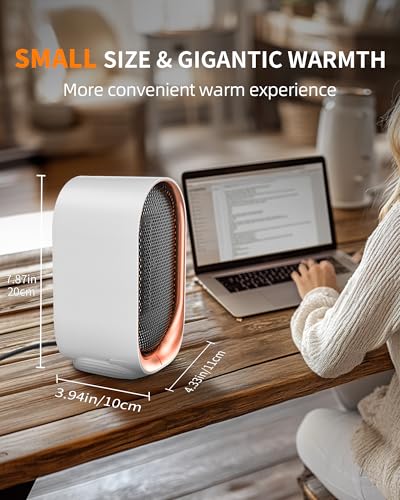 Portable Electric Space Heater for Indoor Use with Overheat Protection