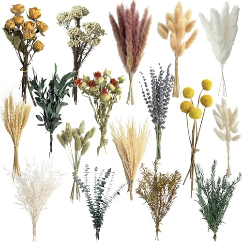 16 Varieties Natural Dried Flowers Set, 7-8 Inch Mini Stems for Boho Decor