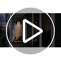 Joyehome 3.7FT Hanging Swing Ghost Outdoor Halloween Decoration with Waterproof Remote Lights