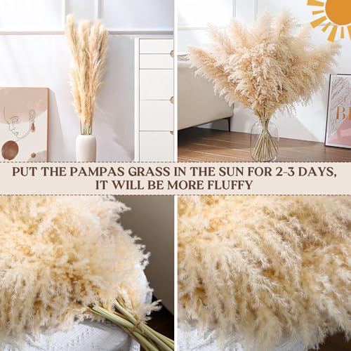 12pcs 40-Inch Dried Pampas Grass Bouquet - Natural Beige Boho Home Decor