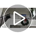 48-Inch Pre-Lit Artificial Christmas Wreath with 150 LED Lights & Ornaments