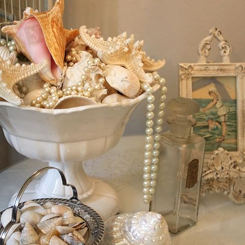 16-Piece Natural Starfish & Scallop Shells with Pearls (3-4 Inch) for Crafts