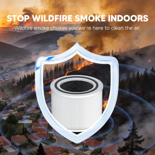 Air Purifier Replacement Filter 2 Pack with Activated Carbon
