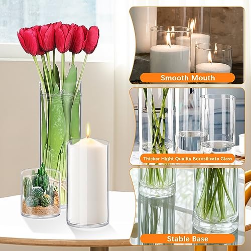 Clear Glass Cylinder Vases - Set of 4 (4, 6, 8, 10 Inch) for Centerpieces