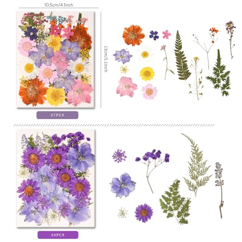 330PCS Natural Pressed Dried Flowers and Leaves Set with Tweezers