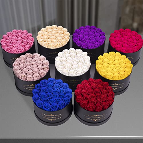 27-Piece Preserved Red Roses in Gift Box - Real Everlasting Flowers