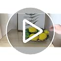 Artificial Lemons and Limes Set - 24 Pcs Faux Fruit Decor