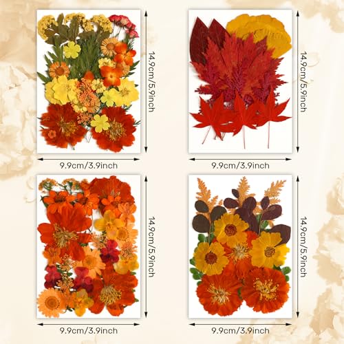 Real Dried Pressed Flowers & Leaves for DIY Resin Crafts - 100 Pcs Set